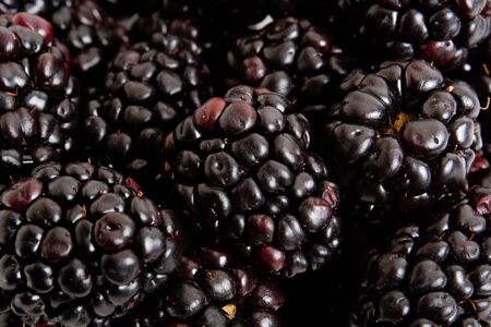 blackberry to serve as backgroundの写真素材