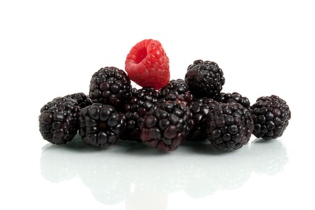 ripe blackberry isolated on whiteの写真素材