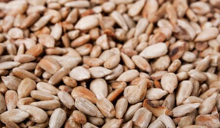 a lot ofsunflower seeds. food background.