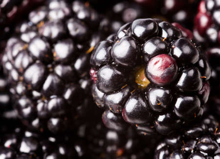many ripe blackberries. food backgroundの写真素材