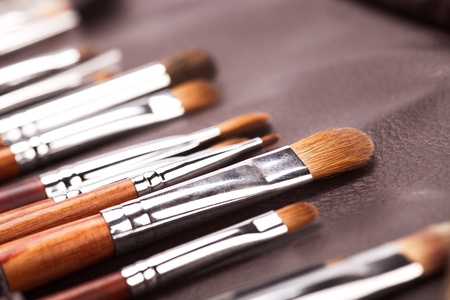 professional cosmetic brushe on leather