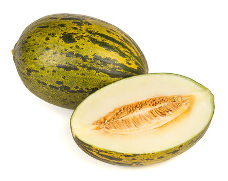 Piel de sapo melon on white backgroundの写真素材