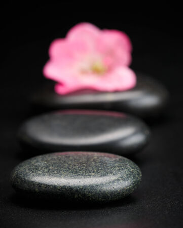 stone and fresh petal  with water dropsの写真素材