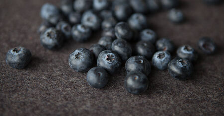 Blueberriesの写真素材