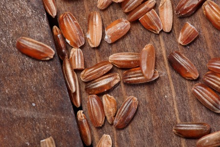 red riceの写真素材