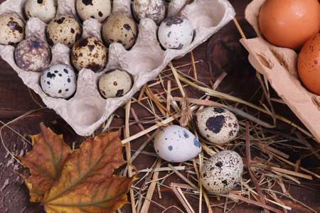 different eggs