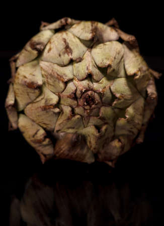 one of artichokwe on a dark backgroundの写真素材