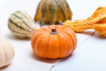 different pumpkinsの写真素材