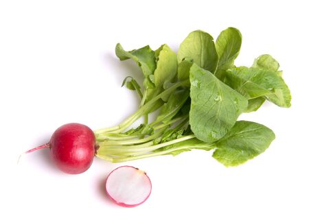 ripe radishesの写真素材