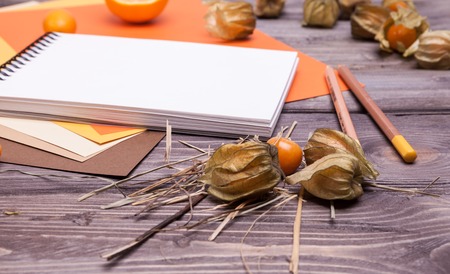 painting suppliesの写真素材