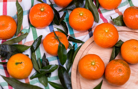 brunch of tangerinesの写真素材