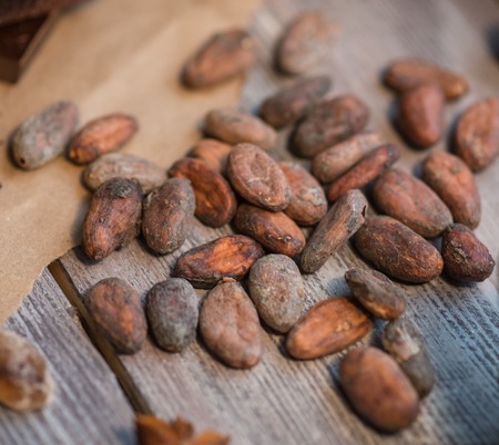 raw cocoa beans on the wooden table close-upの写真素材