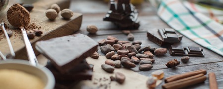 cocoa beans, spices and pieces of chocolate on the wooden tableの写真素材