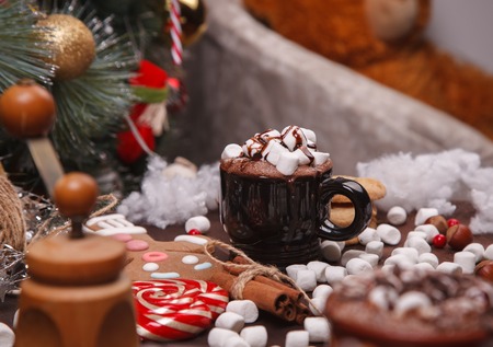 cup of cocoa and cookies in the cristmas decorationsの写真素材