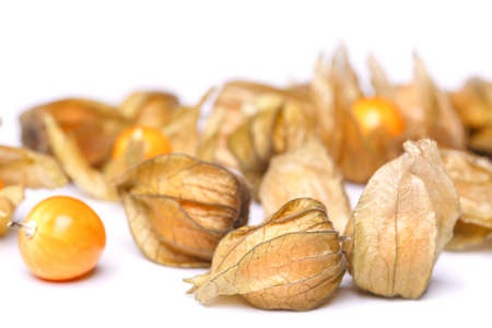 ripe physalis on a white backgroundの写真素材