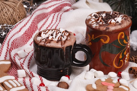 two cups of cocoa and cookies in the cristmas decorationsの写真素材