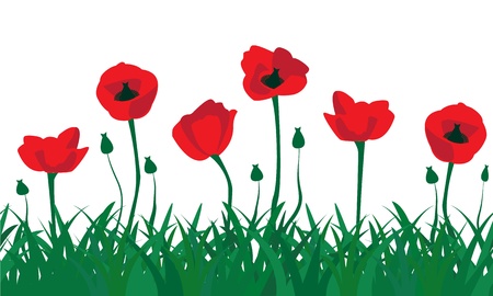 seamless pattern of red poppies and the green grassのイラスト素材