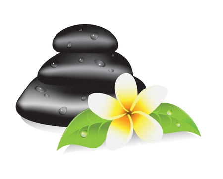 stones for a spa therapy, leaves and frangipani flower  のイラスト素材