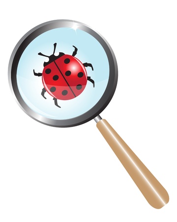 ladybug under a magnifying glassのイラスト素材