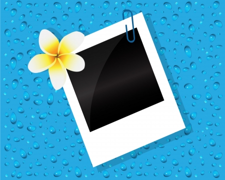 Photo stitched with frangipani flower on a blue background with dropsのイラスト素材