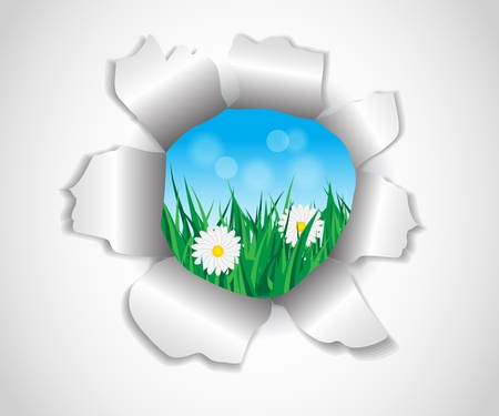   hole in the paper through which the visible grass and flowersのイラスト素材