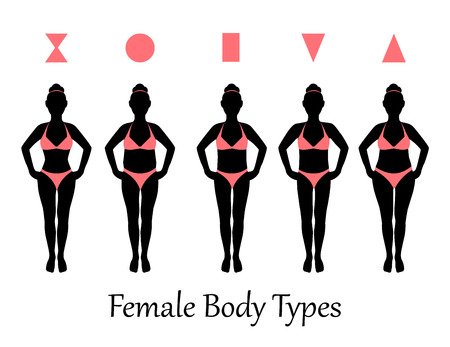 silhouettes of various types of female figuresのイラスト素材