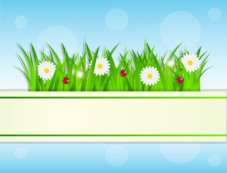 white paper background on the background of grass flowers and skyのイラスト素材
