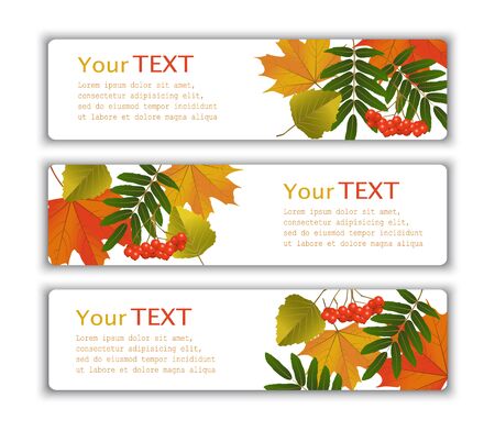 Four advertising banner with yellow autumn leaves and berries of mountain ashのイラスト素材