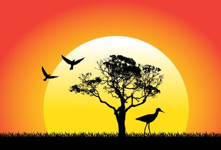 landscape with a tree and different birds on a sunset backgroundのイラスト素材
