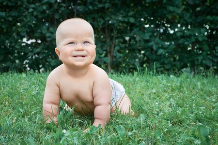 Carefree smiling little boy crawling on green grass on sunny day, looking up.の写真素材