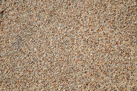 Background of small sea shells, colored pebbles and sand.の写真素材