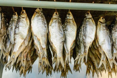 Salted dried fish, hanging in rows in the sun for preservation and subsequent use in food. Traditional gourmet beer snack. Close-up.の写真素材