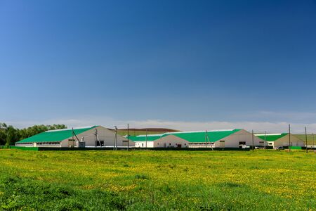A large modern buildings, high production dairy farm in countryside, used for feeding and milking dairy cows.の写真素材