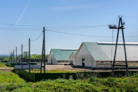 A modern buildings, high production dairy farm used for feeding and milking dairy cows in countryside.の写真素材