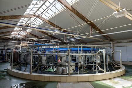 Robotic milking rotary system for dairy industry at the dairy farm. Automatic milking system.の写真素材