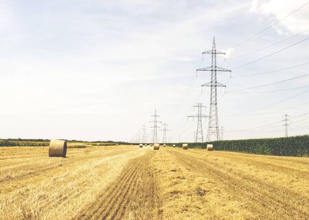 Straw fieldの写真素材