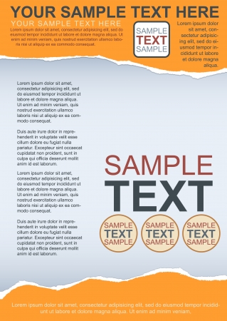 Flayer, brochure or cover template with torn paperのイラスト素材