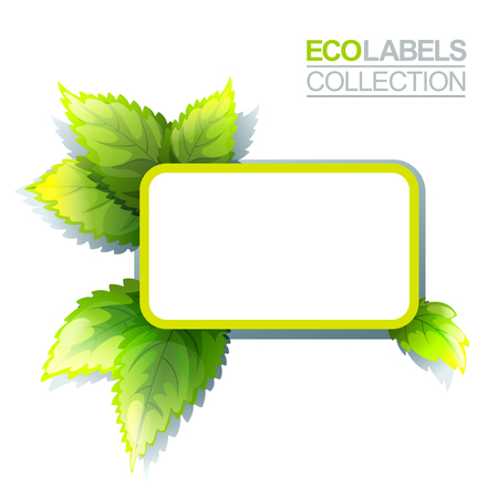 Bright green label template with leaves for organic, natural and eco productsのイラスト素材
