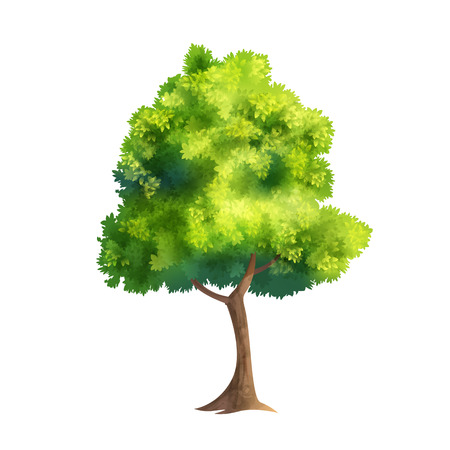 Color Vector Illustration Of Big Tree With Fresh Leaves Isolated On Whiteのイラスト素材