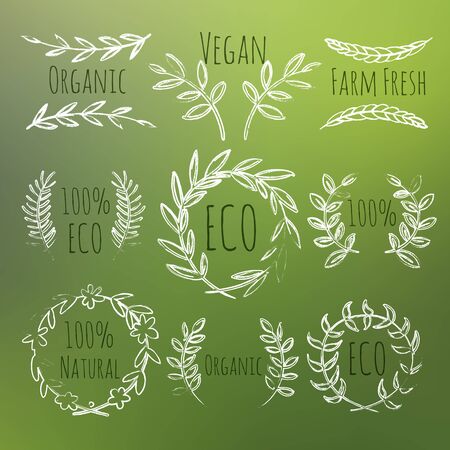 Green Handdrawn Eco, Organic, Vegan, Farm Fresh, Natural Labels Setのイラスト素材
