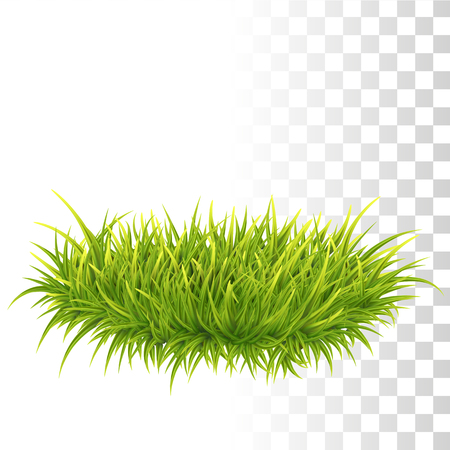 Vector Photo Realistic Tussock Of Green Fresh Grassのイラスト素材