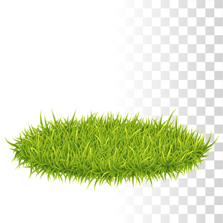 Vector Photo Realistic Oval Carpet Of Green Fresh Grass. Perspetive Viewのイラスト素材