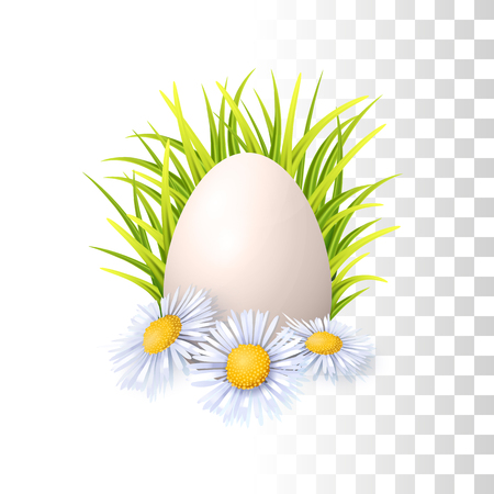 Realistic Vector Easter Egg, Green Fresh Grass And Spring Flowers On Transparent backgroundのイラスト素材