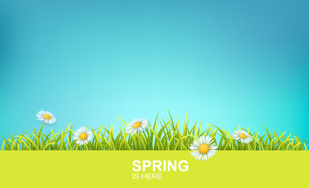Spring Bright Background With Green 3d Photo Realistic Grass, Flowers And Clear Blue Sky. Spring Is Here Vector Illustrationのイラスト素材