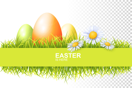 Easter Egg, Green Fresh Grass And Spring Flowers. Vector Banner On Transparent Backgroundのイラスト素材