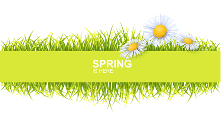 Spring Bright Border With Green 3d Photo Realistic Grass And Flowers. Spring Is Here Vector Illustrationのイラスト素材
