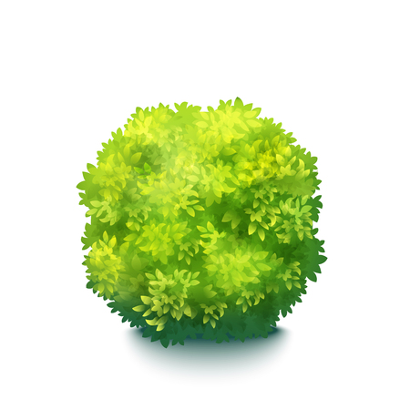 Vector Realistic Fresh Green Garden Bush Isolated On Whiteのイラスト素材