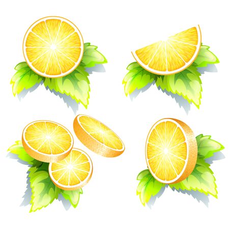 Set Of Fresh Orange Pieces With Green Leaves Isolated On White. Vector Photo Realistic 3d Illustrationのイラスト素材