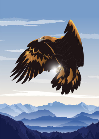 Flying Eagle Artのイラスト素材