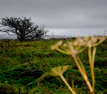 Cloudy day in Sussexの写真素材